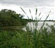 Nord - Pas de Calais - Picardie