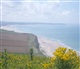 Nord - Pas de Calais - Picardie