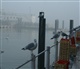 Oostende