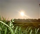 Overijssel