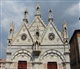 Pisa