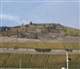 Rijn