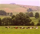 Sauerland