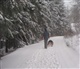 Sauerland
