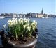 Stockholm