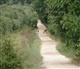Toscane