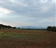 Toscane