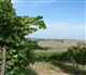 Toscane