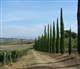 Toscane