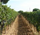 Toscane