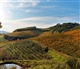 Toscane