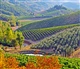 Toscane