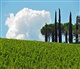 Toscane