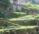 Toscane