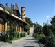 Turin