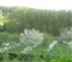 Vlaanderen