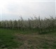 Vlaanderen