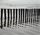 Waddeneilanden