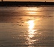 Zuid Holland