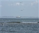 Zuid Holland