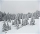 La Forêt Noire