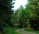 La Forêt Noire