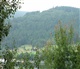 La Forêt Noire