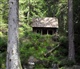 La Forêt Noire
