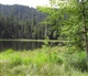 La Forêt Noire