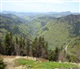 La Forêt Noire