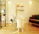 Imani Country House
