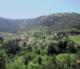 Parc
