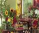Hostellerie du Cigalou