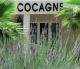 Domaine Cocagne