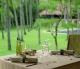 Alila Manggis