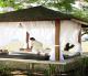 Holiday Inn Resort Baruna