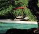 The Pavilions Bali