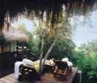 Waka Shorea
