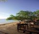 Waka Shorea