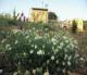 Acqua Ghiaccia Spa & Country House