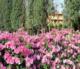 Resort & Spa San Crispino