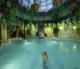 Wellnesshotel Auerhahn Schluchsee