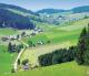 Zur Traube