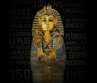 Toutânkhamon: le trésor du pharaon