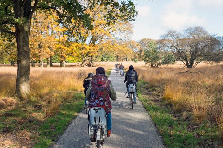 Groepsreis: 4-daagse fietsvakantie Gelderland