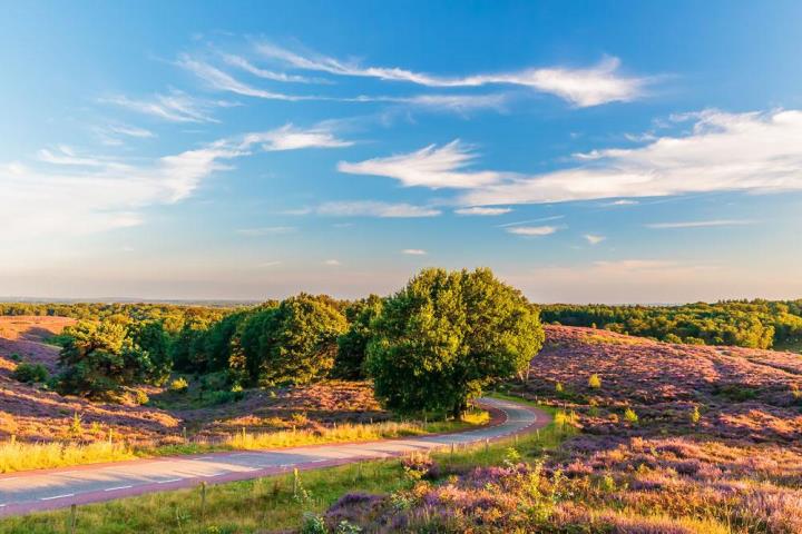 4-daagse fietsvakantie Veluwe Zuid