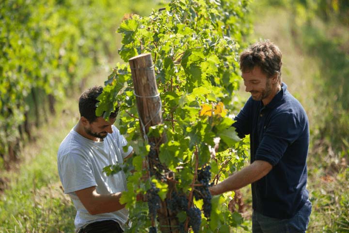 Rondreis 8 dagen  Proeven van Italiaanse champagne prosecco en de mooiste witte wijnen in Noord-Italië 