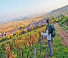 6-daagse rondreis "Heerlijk genieten in de Bourgogne"