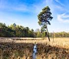 3 dagen Fletcher De Reiskoffer ****