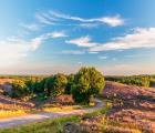 Circuit en vélo 4 jours: la Veluwe du sud